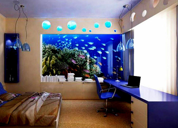 wall aquarium